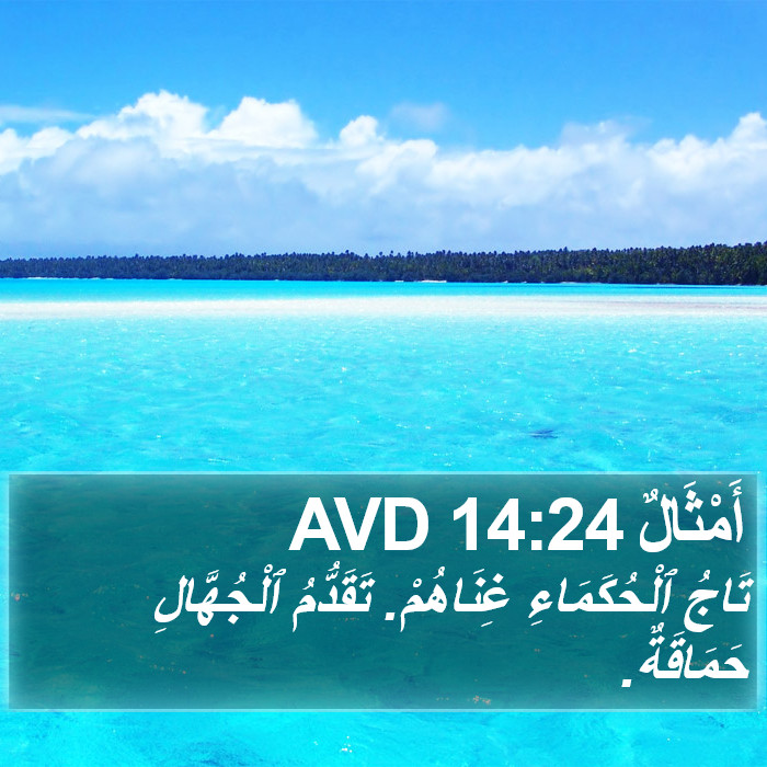 أَمْثَالٌ 14:24 AVD Bible Study