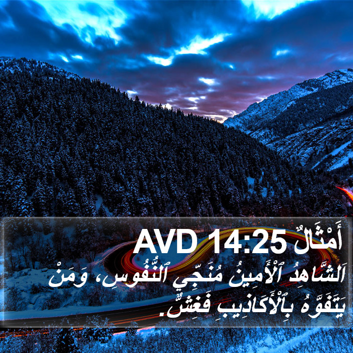 أَمْثَالٌ 14:25 AVD Bible Study