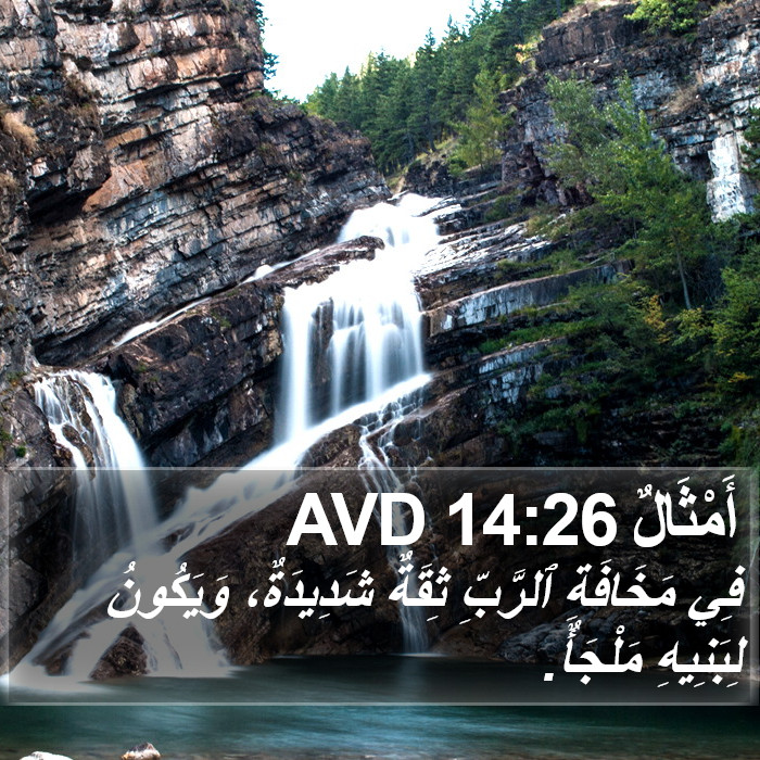 أَمْثَالٌ 14:26 AVD Bible Study