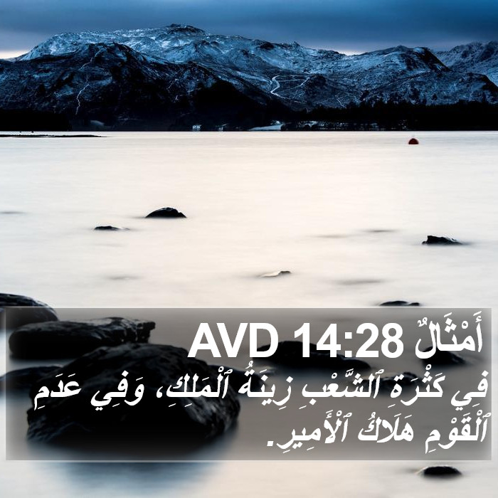 أَمْثَالٌ 14:28 AVD Bible Study