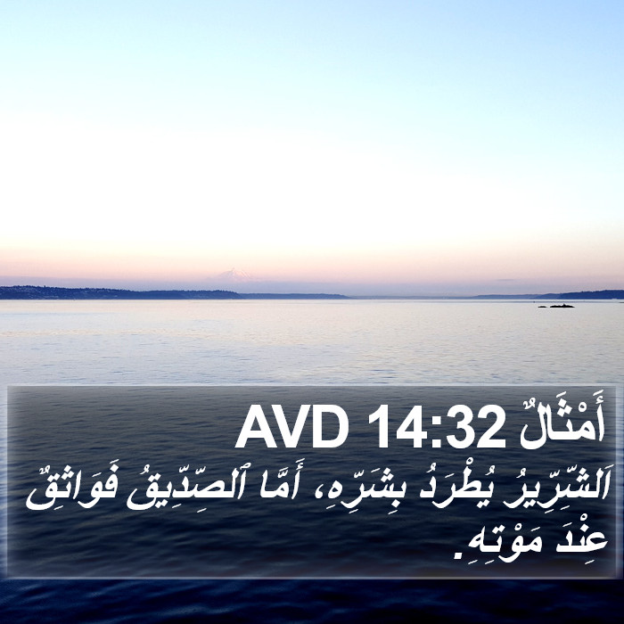 أَمْثَالٌ 14:32 AVD Bible Study