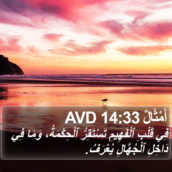 أَمْثَالٌ 14:33 AVD Bible Study