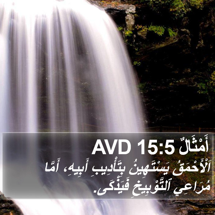 أَمْثَالٌ 15:5 AVD Bible Study