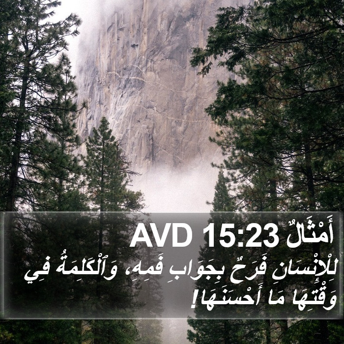أَمْثَالٌ 15:23 AVD Bible Study