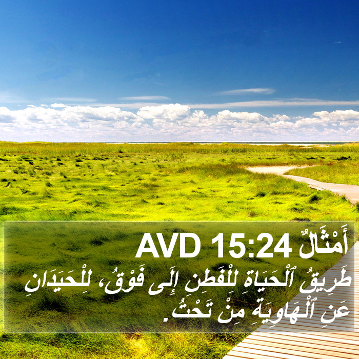 أَمْثَالٌ 15:24 AVD Bible Study