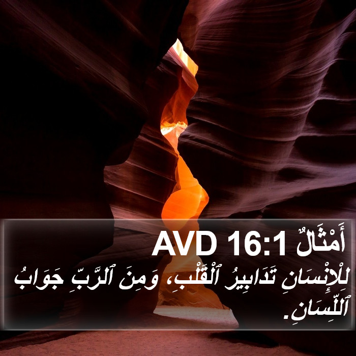 أَمْثَالٌ 16:1 AVD Bible Study