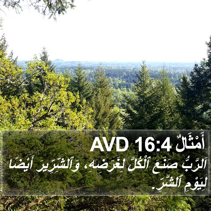 أَمْثَالٌ 16:4 AVD Bible Study