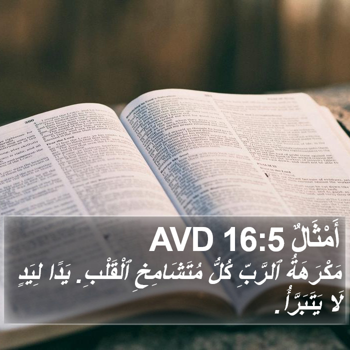 أَمْثَالٌ 16:5 AVD Bible Study