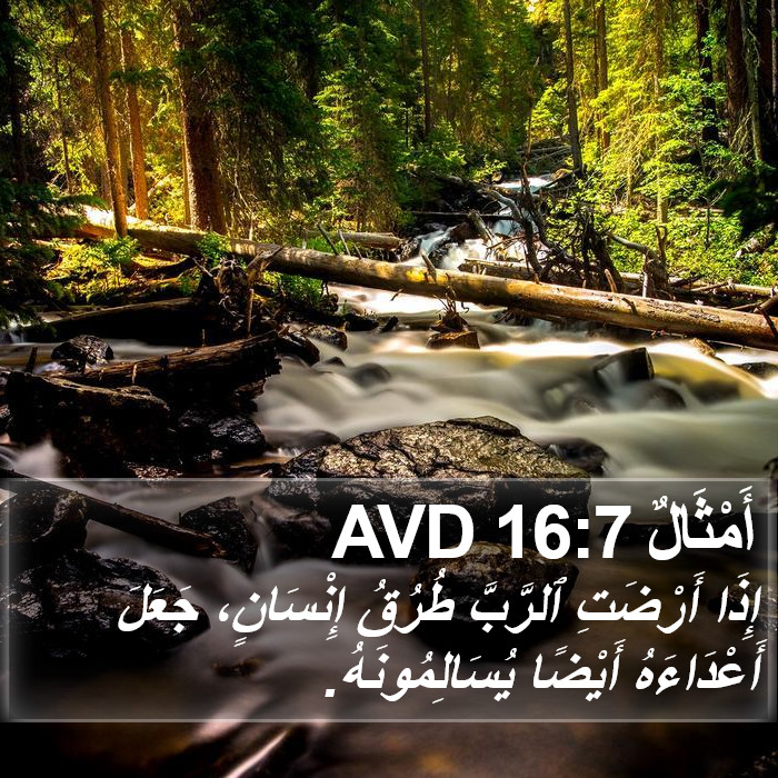 أَمْثَالٌ 16:7 AVD Bible Study