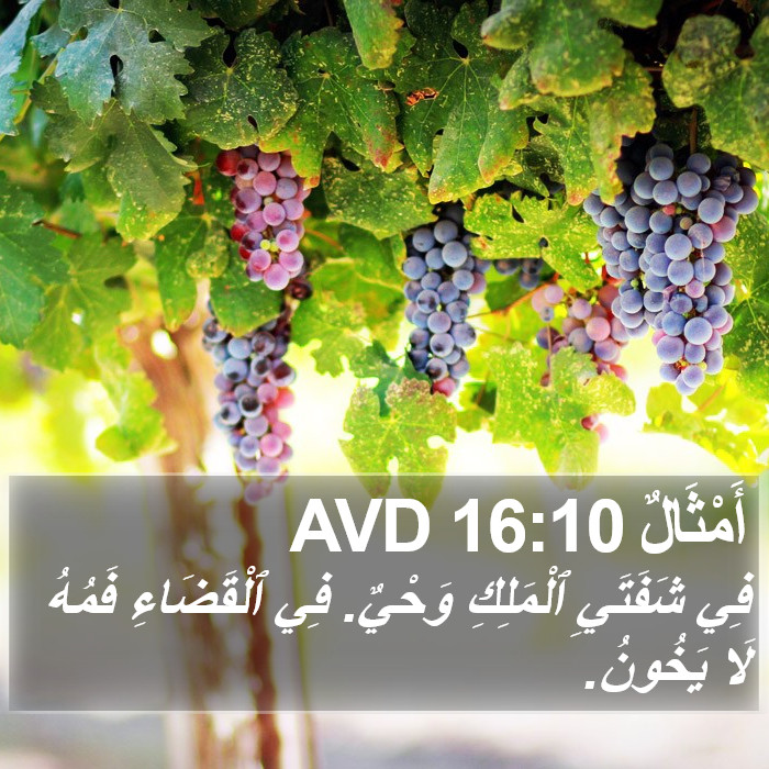 أَمْثَالٌ 16:10 AVD Bible Study