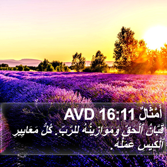 أَمْثَالٌ 16:11 AVD Bible Study