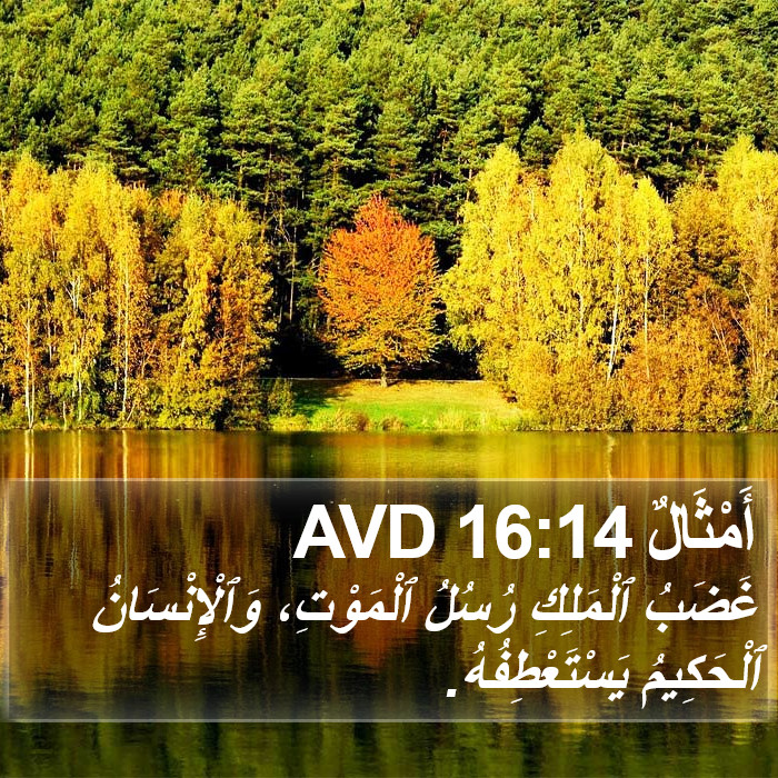 أَمْثَالٌ 16:14 AVD Bible Study