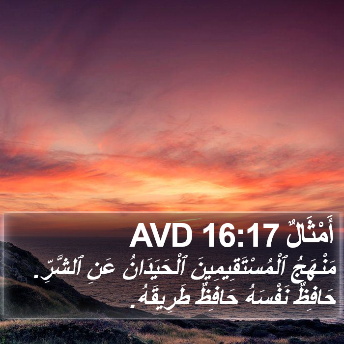 أَمْثَالٌ 16:17 AVD Bible Study