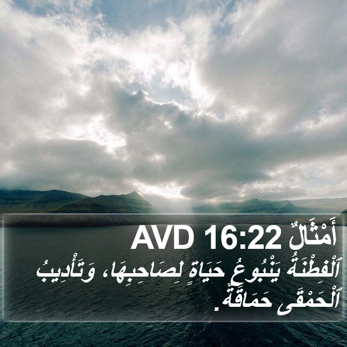 أَمْثَالٌ 16:22 AVD Bible Study