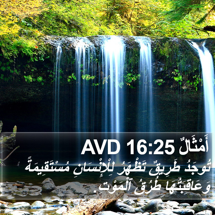 أَمْثَالٌ 16:25 AVD Bible Study