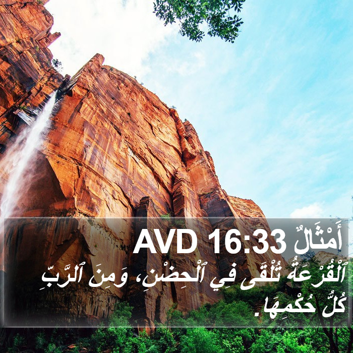 أَمْثَالٌ 16:33 AVD Bible Study