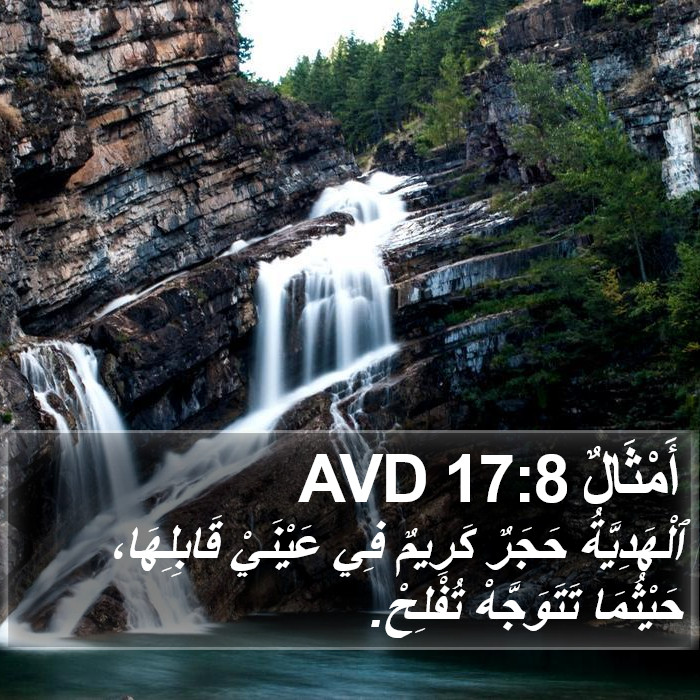أَمْثَالٌ 17:8 AVD Bible Study