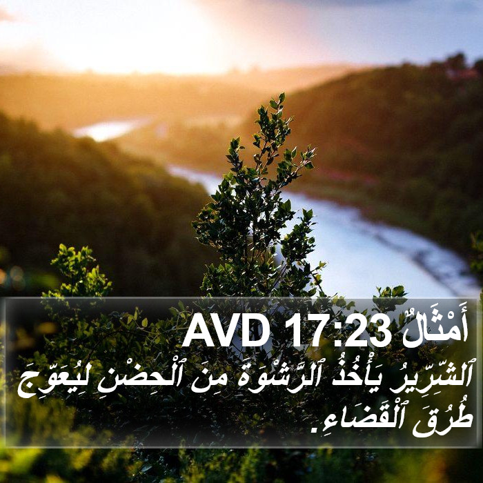 أَمْثَالٌ 17:23 AVD Bible Study