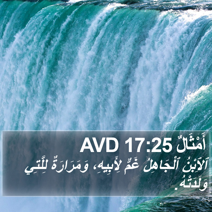 أَمْثَالٌ 17:25 AVD Bible Study