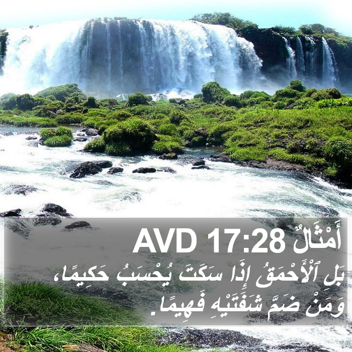 أَمْثَالٌ 17:28 AVD Bible Study