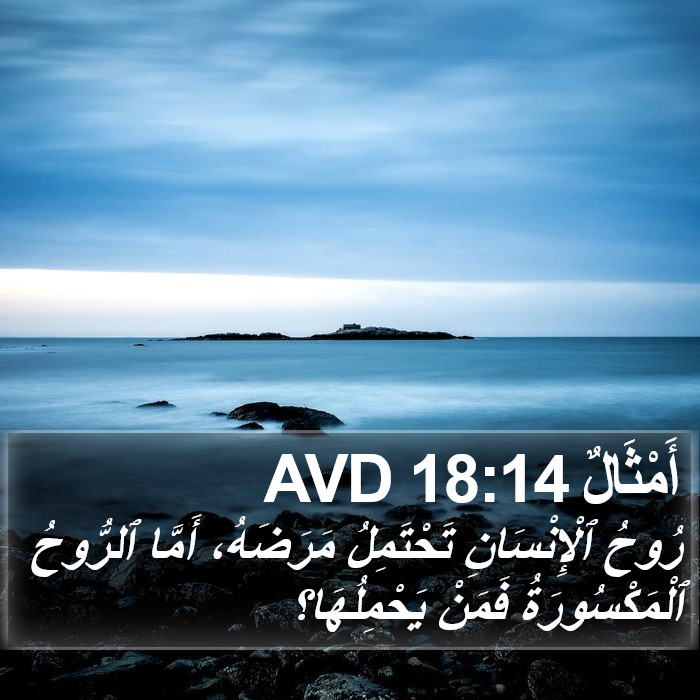 أَمْثَالٌ 18:14 AVD Bible Study