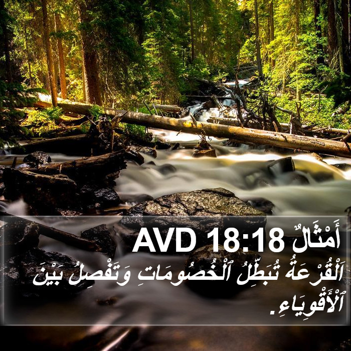 أَمْثَالٌ 18:18 AVD Bible Study