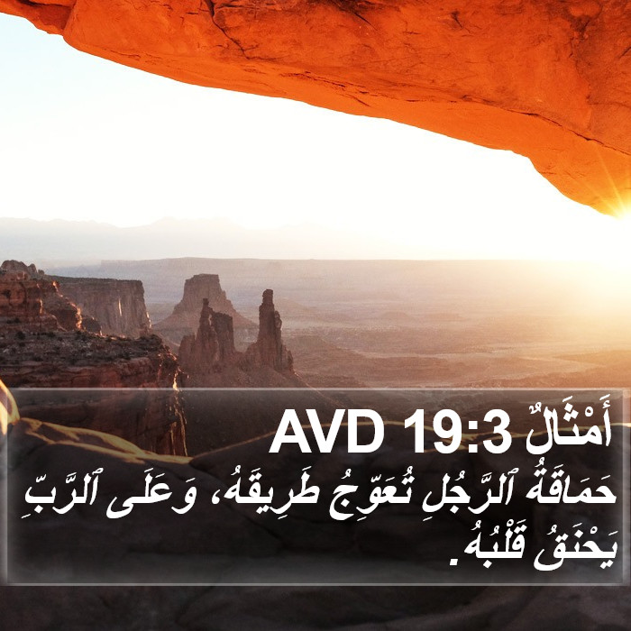 أَمْثَالٌ 19:3 AVD Bible Study