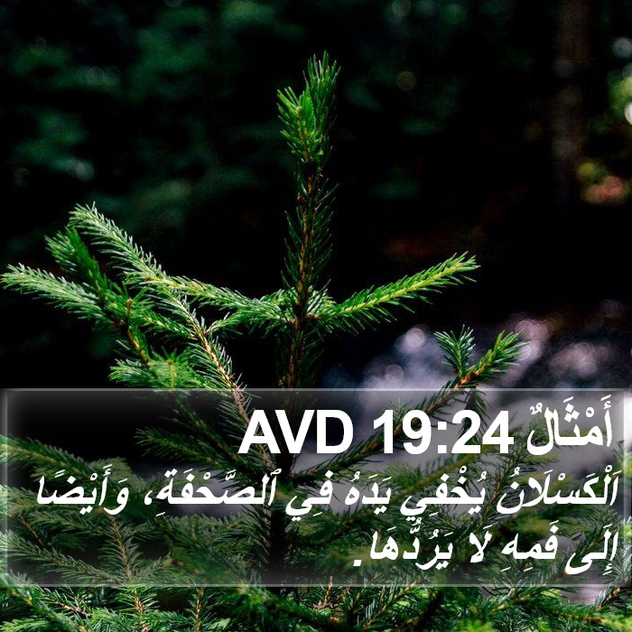 أَمْثَالٌ 19:24 AVD Bible Study