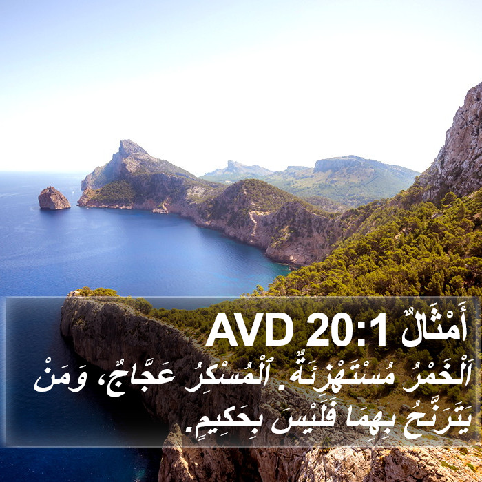 أَمْثَالٌ 20:1 AVD Bible Study