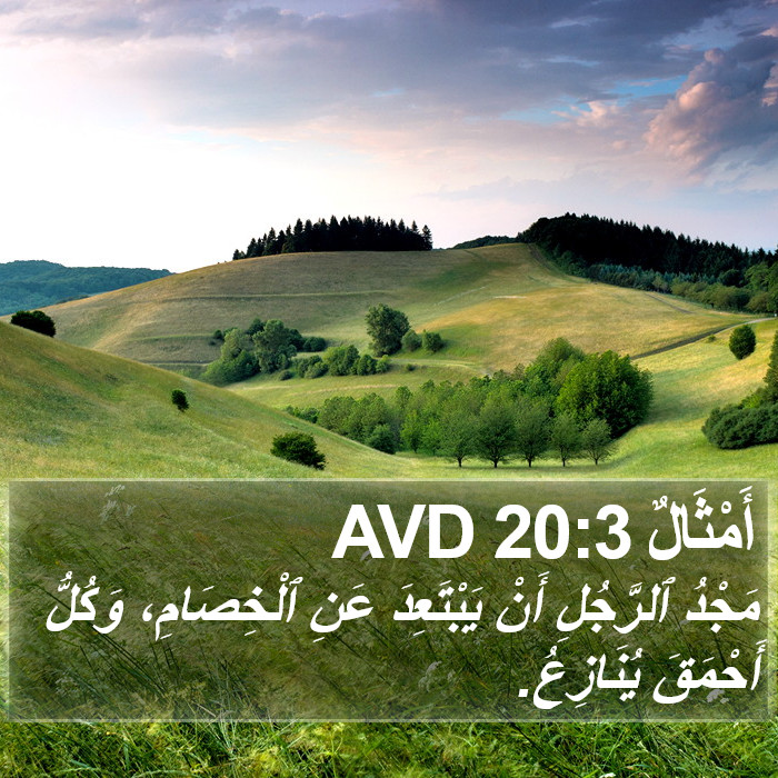 أَمْثَالٌ 20:3 AVD Bible Study