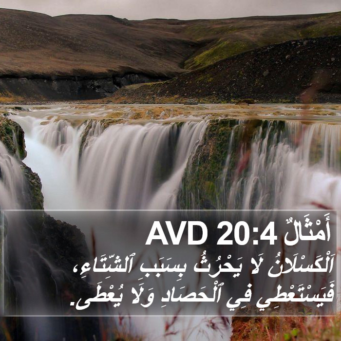 أَمْثَالٌ 20:4 AVD Bible Study