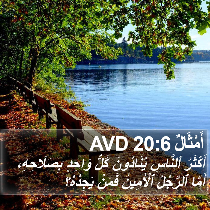 أَمْثَالٌ 20:6 AVD Bible Study