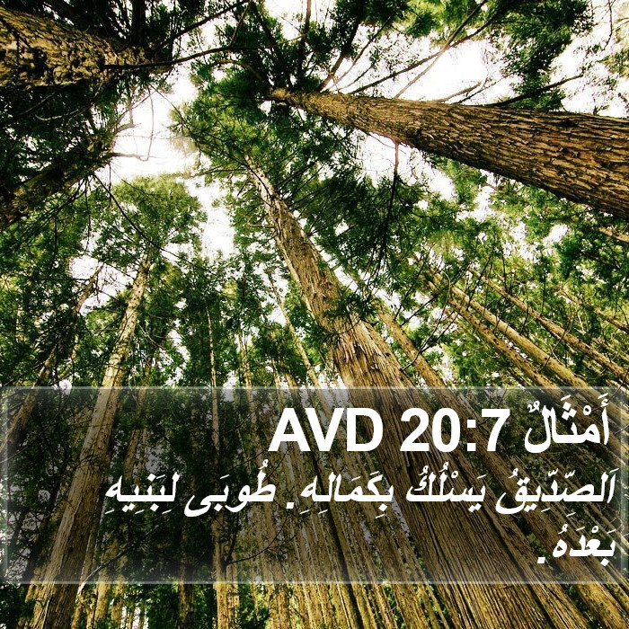 أَمْثَالٌ 20:7 AVD Bible Study