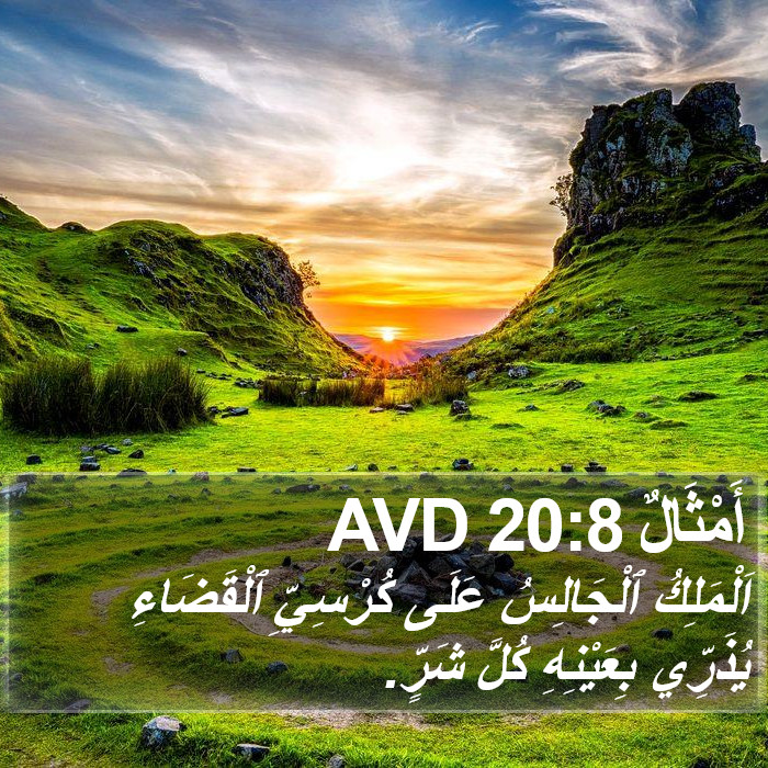 أَمْثَالٌ 20:8 AVD Bible Study