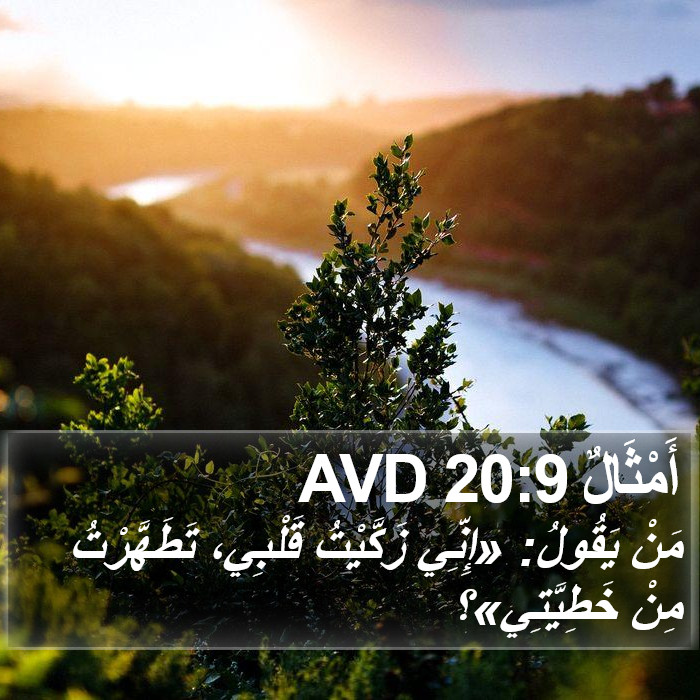 أَمْثَالٌ 20:9 AVD Bible Study