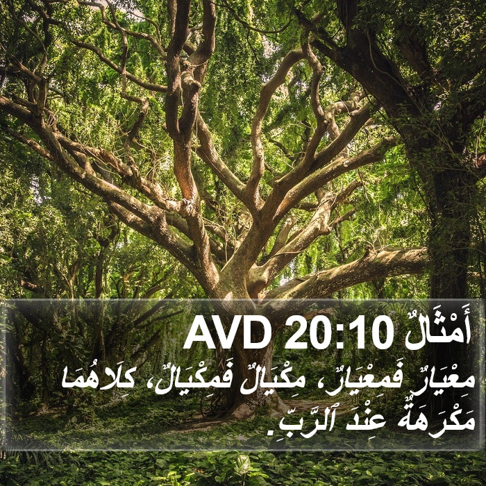 أَمْثَالٌ 20:10 AVD Bible Study