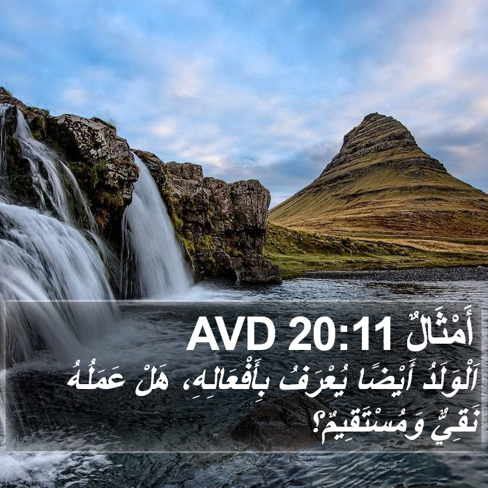 أَمْثَالٌ 20:11 AVD Bible Study