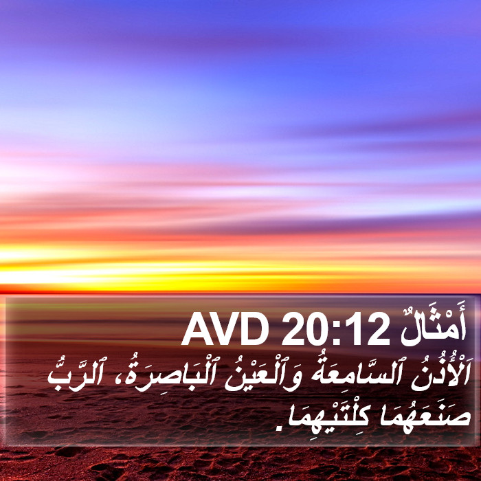 أَمْثَالٌ 20:12 AVD Bible Study