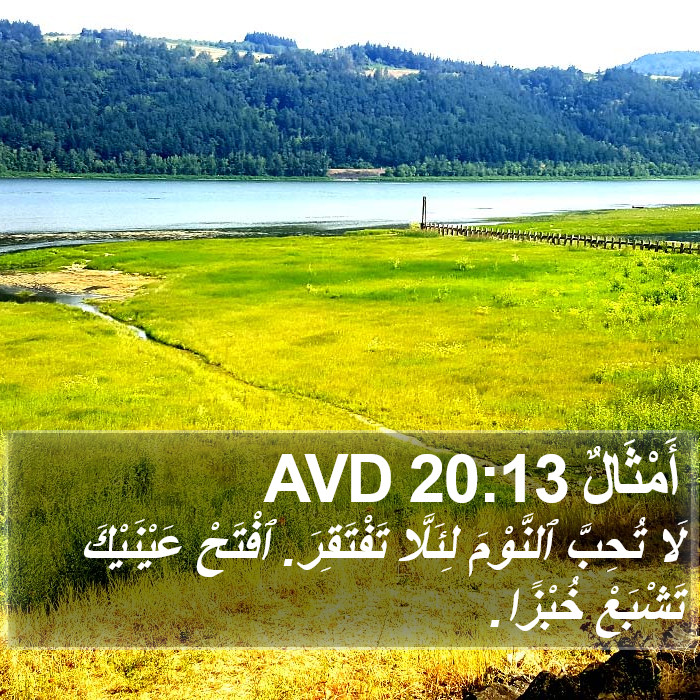 أَمْثَالٌ 20:13 AVD Bible Study