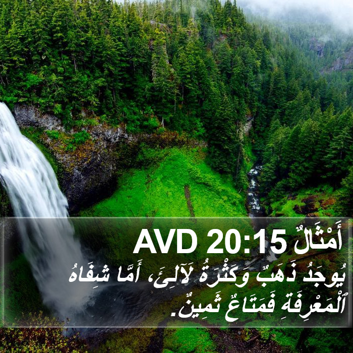 أَمْثَالٌ 20:15 AVD Bible Study