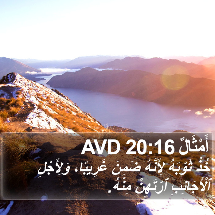 أَمْثَالٌ 20:16 AVD Bible Study