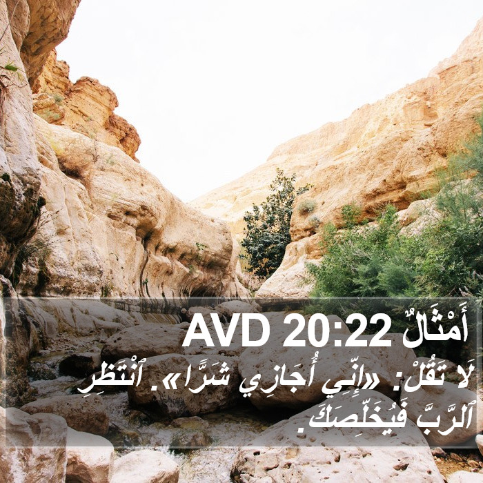 أَمْثَالٌ 20:22 AVD Bible Study