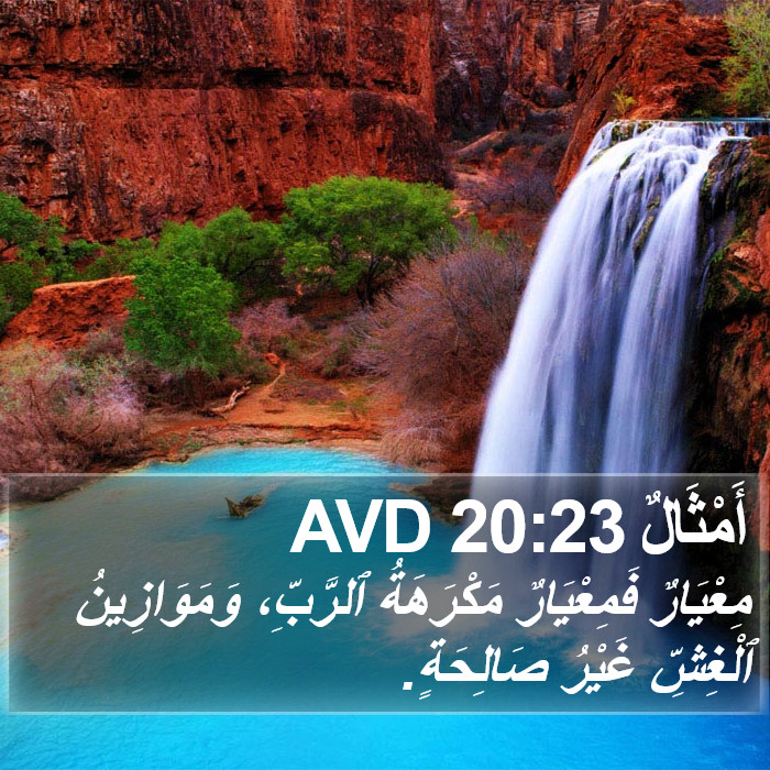 أَمْثَالٌ 20:23 AVD Bible Study