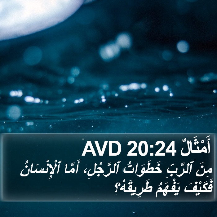 أَمْثَالٌ 20:24 AVD Bible Study