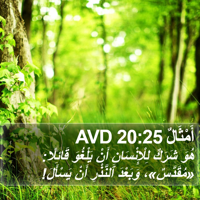 أَمْثَالٌ 20:25 AVD Bible Study