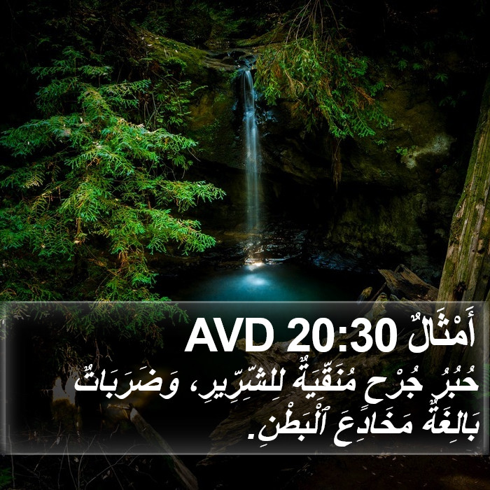 أَمْثَالٌ 20:30 AVD Bible Study