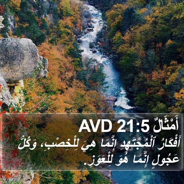 أَمْثَالٌ 21:5 AVD Bible Study
