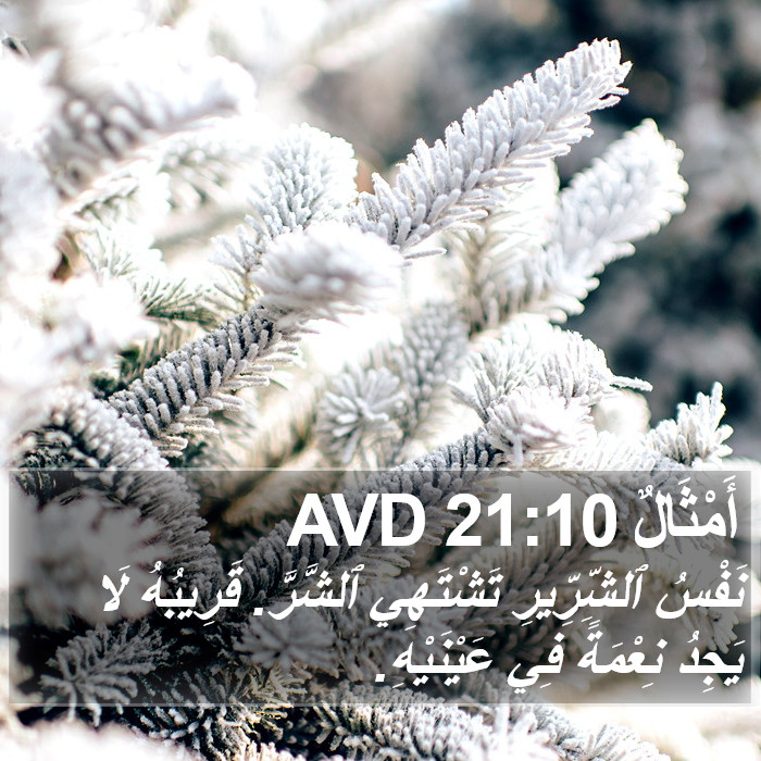 أَمْثَالٌ 21:10 AVD Bible Study