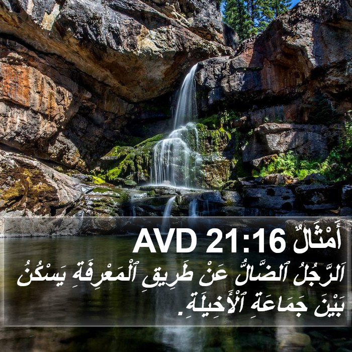 أَمْثَالٌ 21:16 AVD Bible Study