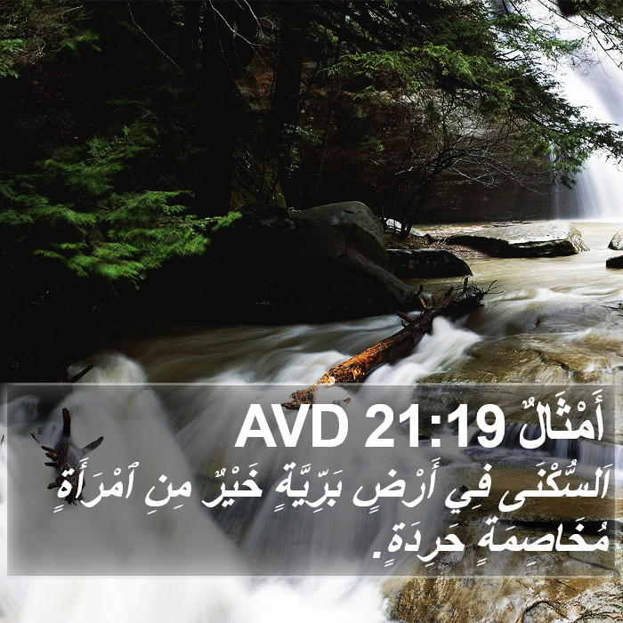 أَمْثَالٌ 21:19 AVD Bible Study